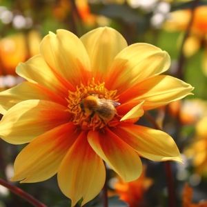 Meet your Posher, Jorge